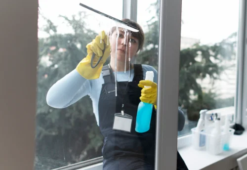 Nettoyage de vitres intérieures et extérieures à Escazeaux